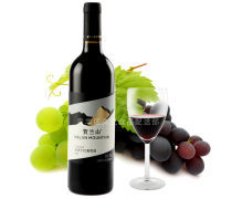 国产红酒的崛起与发展